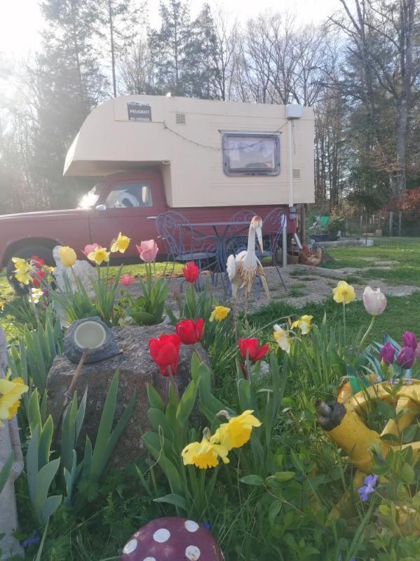Le Pick Up 403 Vintage Hotel Oradour-sur-Glane Luaran gambar